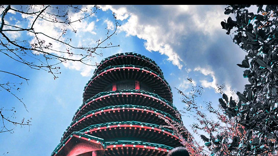 【摄影】我浪费了最好的年华,我丢掉了那个她